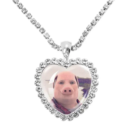 nk4_141_902533511076.jpg Petland Custom Photo Rotatable Moonstone Cat Necklace - 图片 1