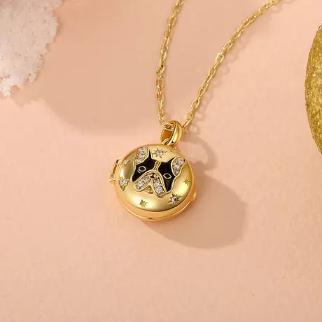 nk6_196_989452042593.jpg Petland Bulldog Custom Engraved Photo Locket Necklace - 图片 1