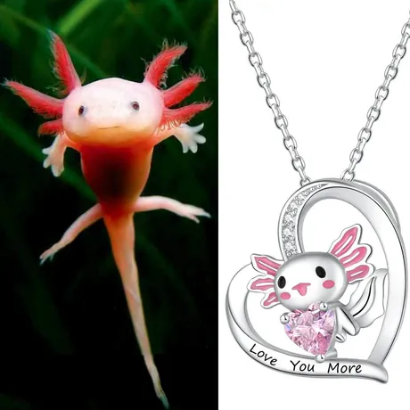 nk8_271_850875346245.jpg Hug Me Axolotl Custom Birthstone Necklace - 图片 1