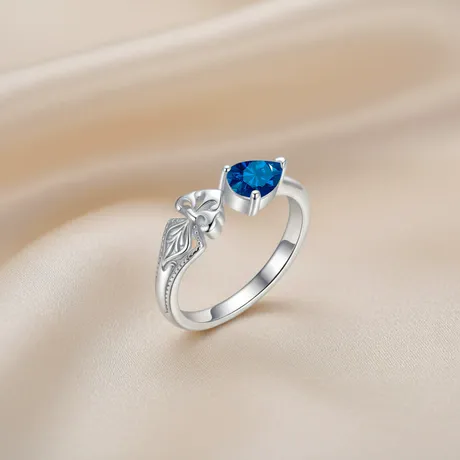 rg6_179_1056011697758.jpg Hug Me Custom Heart Birthstone Otter Ring With Star - 图片 1