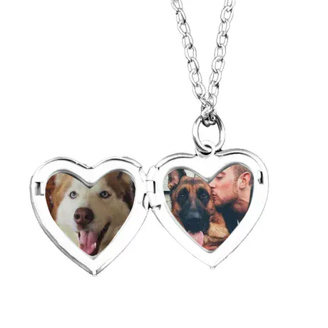 nk9_326_775943009149.jpg Heart Wings Custom Birthstone Photo Necklace Locket Sterling Silver - 图片 1
